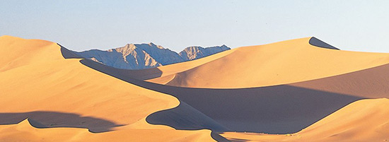 Read more about the article Mystical Magical Namibia – 1988